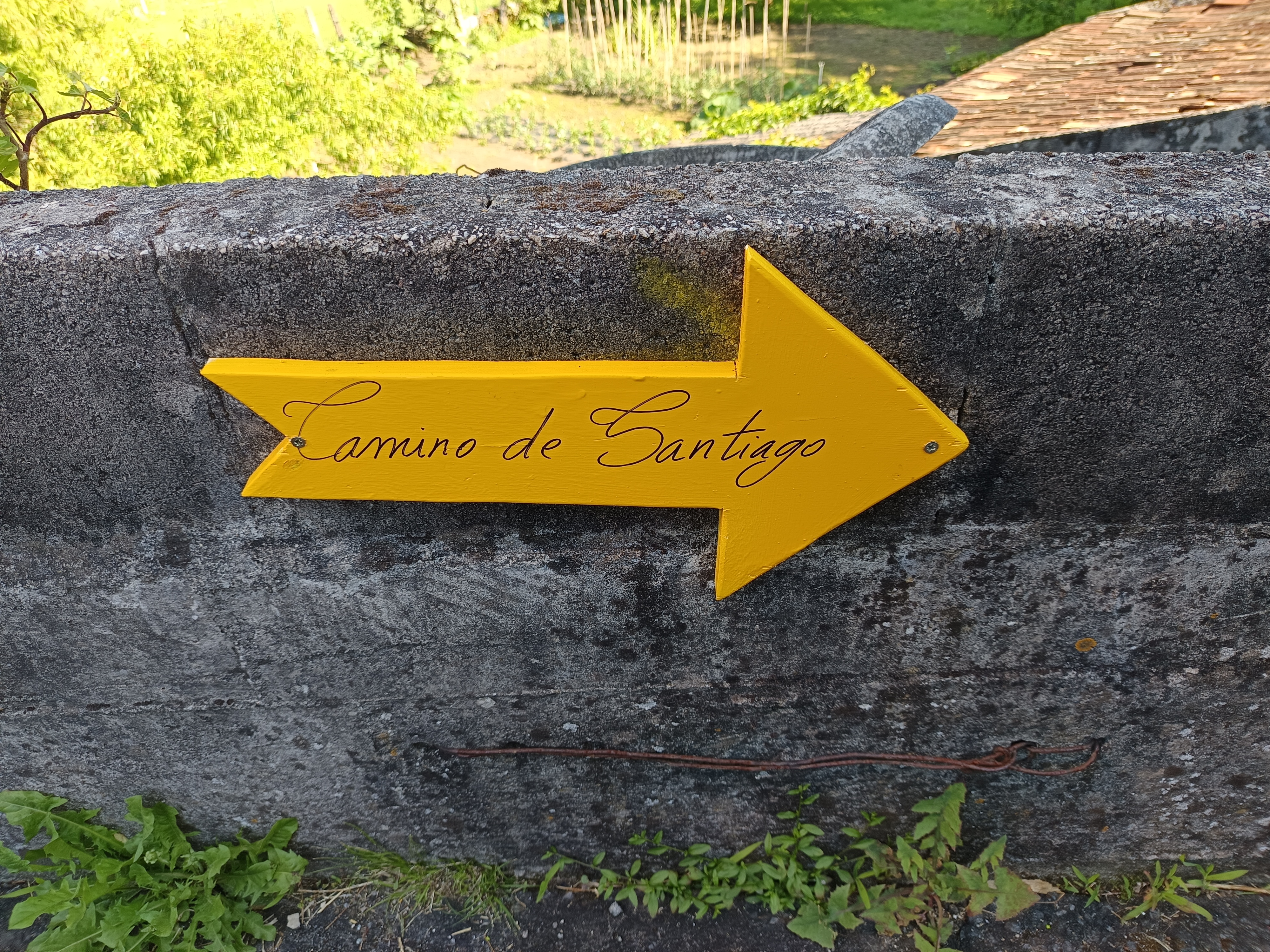 Camino de Santiago – Camino Portugués Central